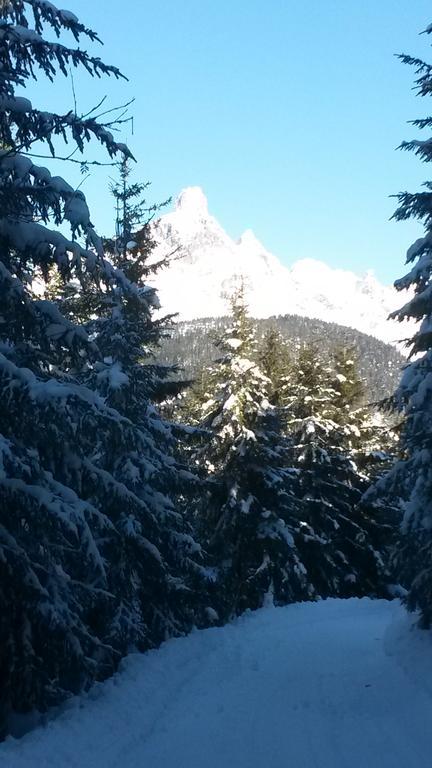 Apartmán Haus Sonnental Filzmoos Exteriér fotografie