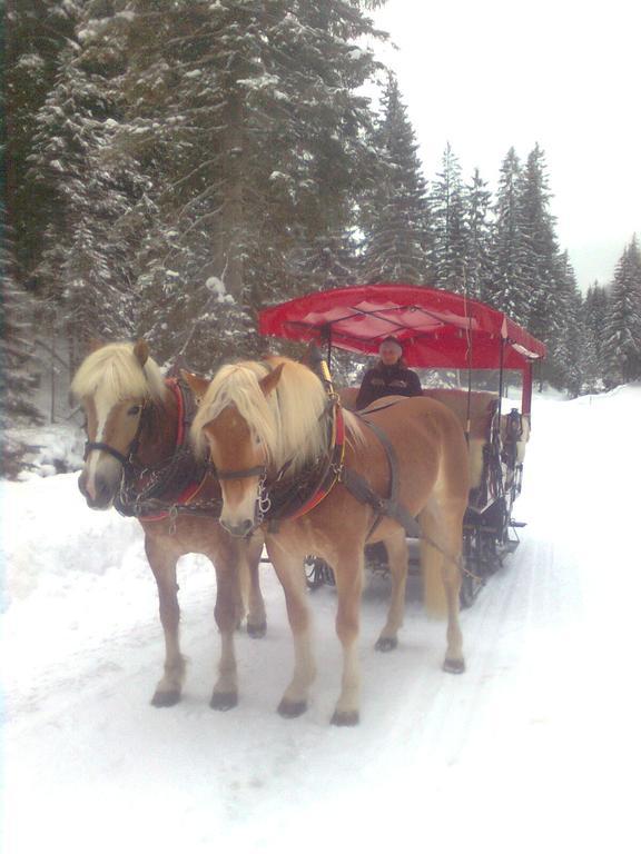 Apartmán Haus Sonnental Filzmoos Exteriér fotografie