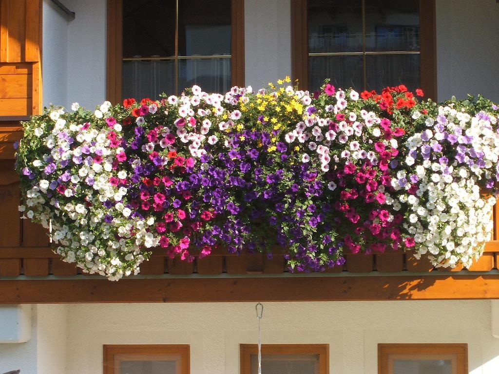 Apartmán Haus Sonnental Filzmoos Exteriér fotografie